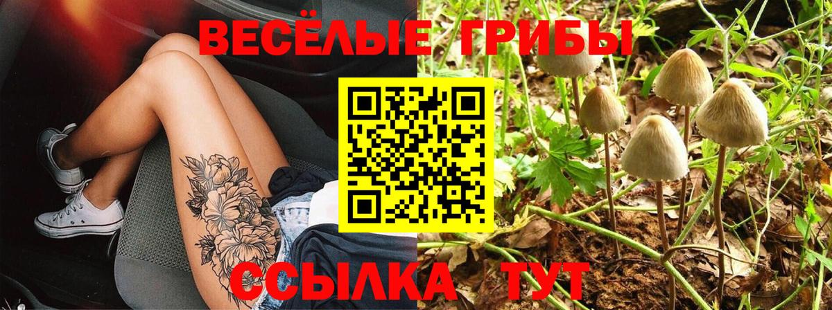 Галлюциногенные грибы Psilocybine cubensis Воткинск